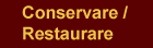 conservare / restaurare